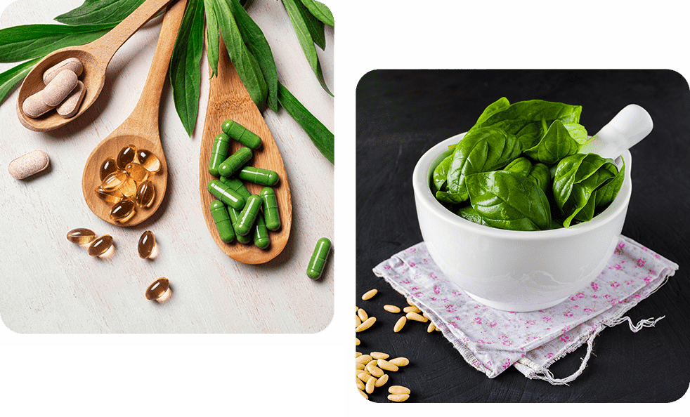 Green herbal supplements and fresh basil leaves in a white bowl.